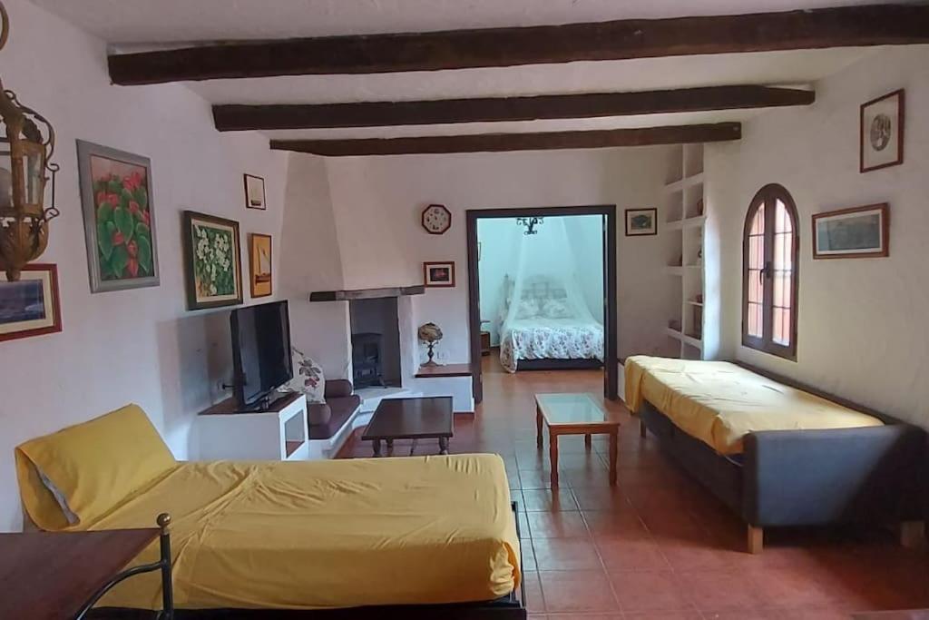 Finca David Galdar Лас-Пальмас-де-Гран-Канария Экстерьер фото